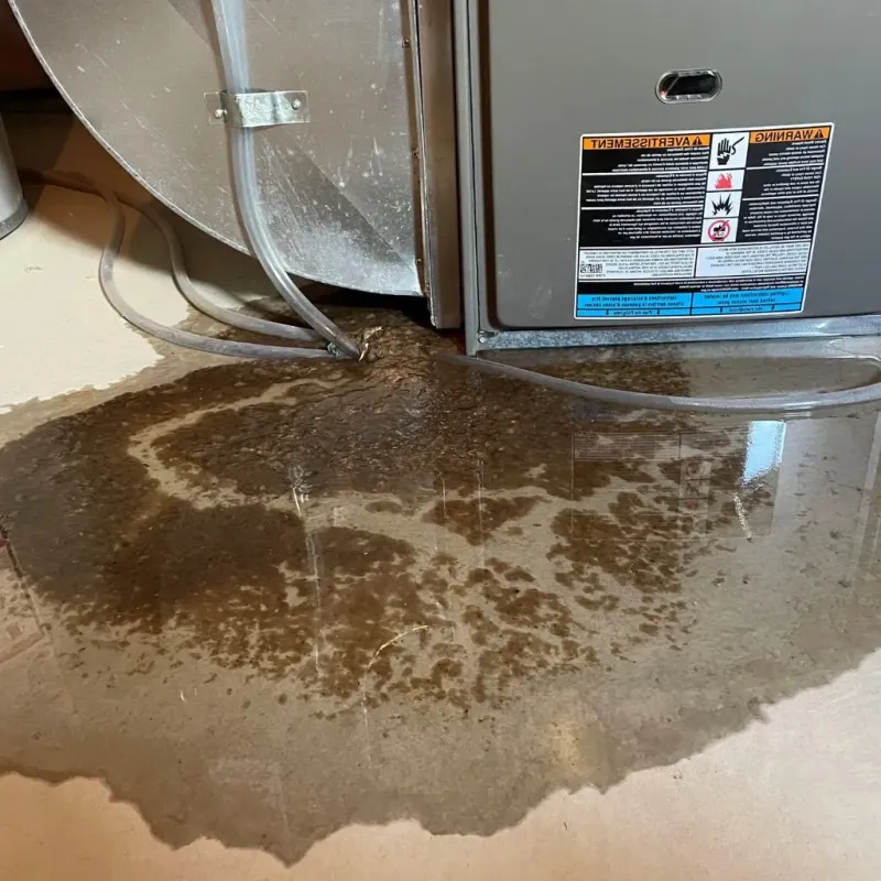 Pipe Burst and Leak Restoration in Bloomfield, IN
