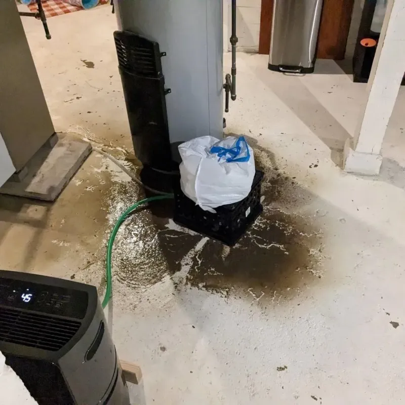 Sewage Backup Cleanup Service in Bloomfield, IN